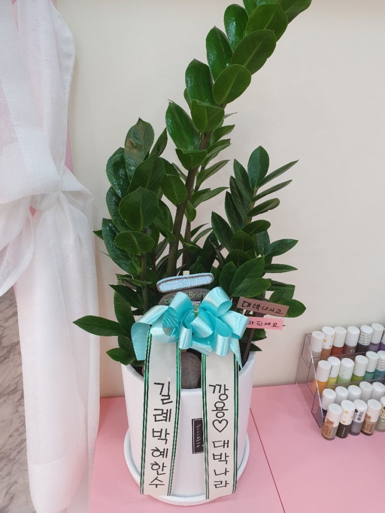 헤어몽 이미지