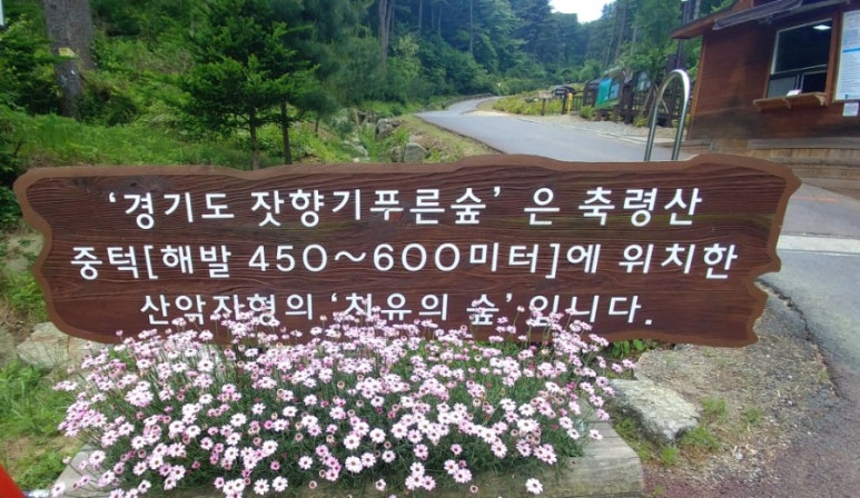 가평잣향기 이미지