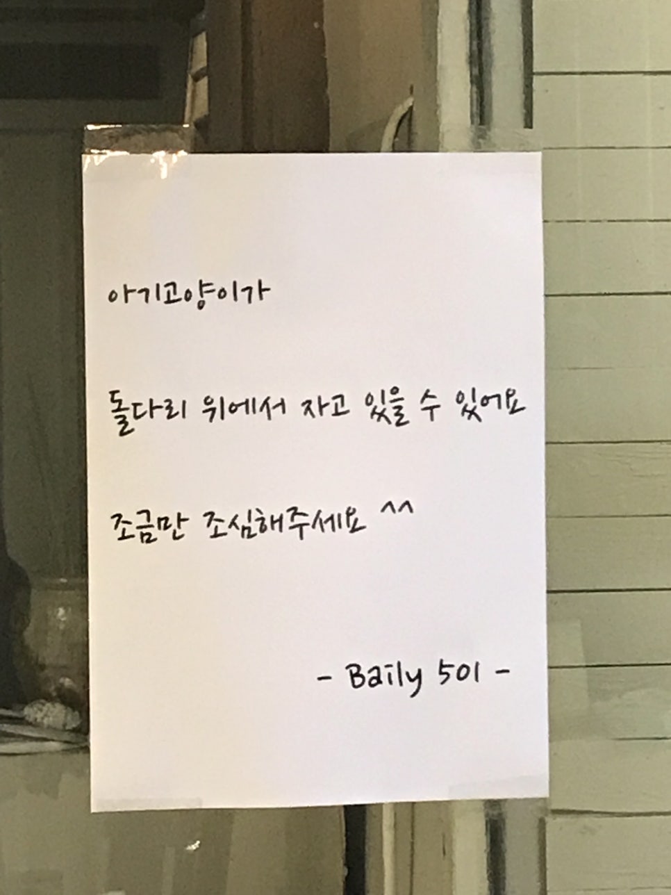베일리(Baily) 이미지