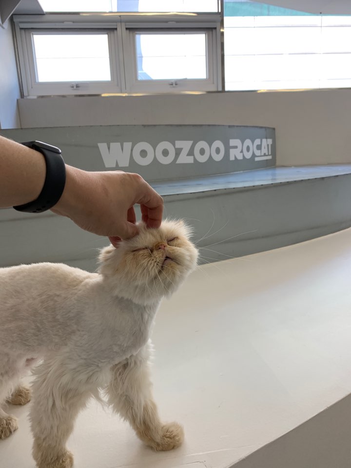 카페소미 이미지