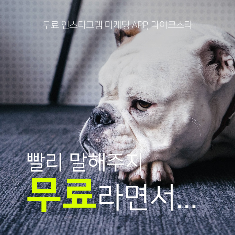 리얼라이크 이미지