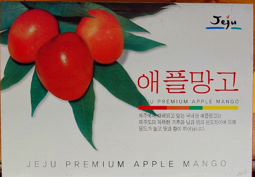 애플망고디자인 이미지
