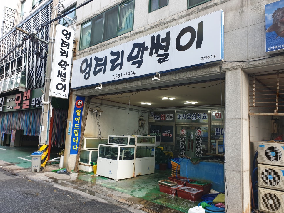 옥포활어횟집 이미지