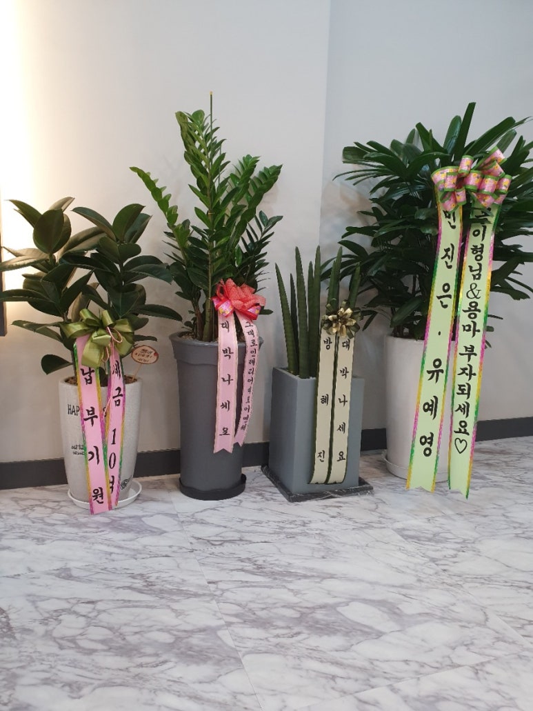 헤어몽 이미지