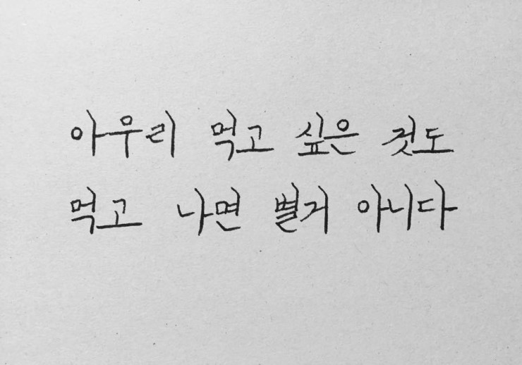레드핏휘트니스 이미지
