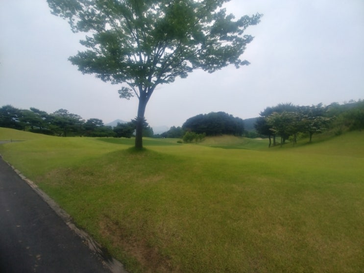 비젼C.C 이미지