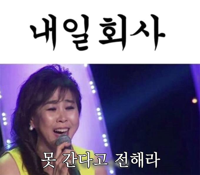 신미양꼬치 이미지