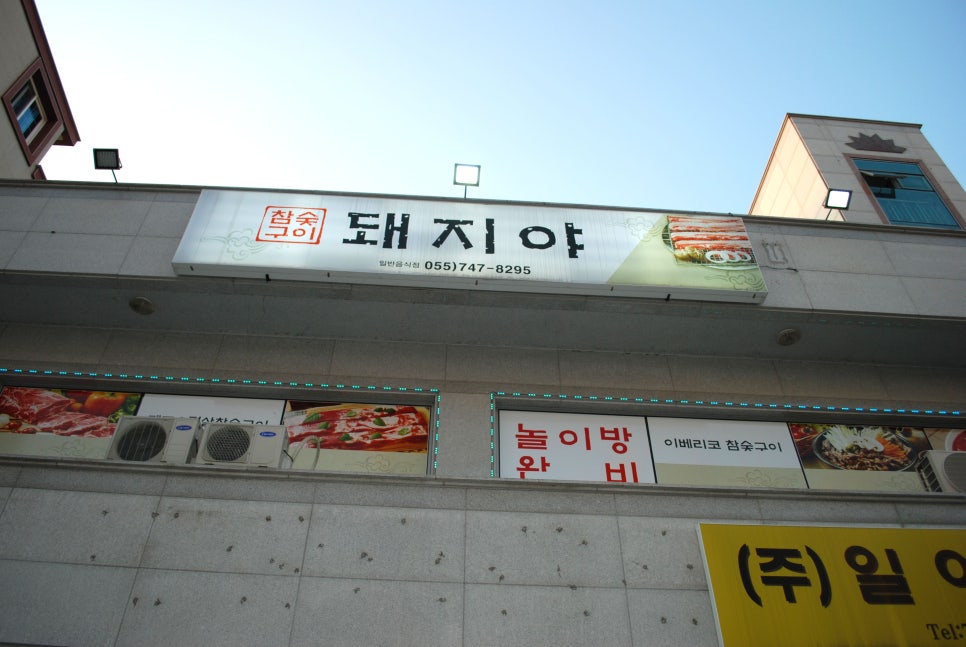 돼지야&닭 이미지