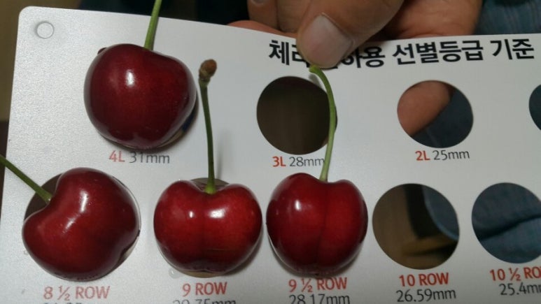 굿팜 이미지