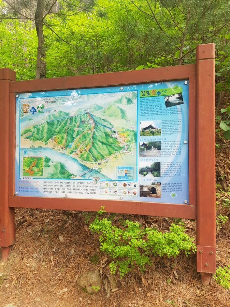 강릉해변막국수 이미지
