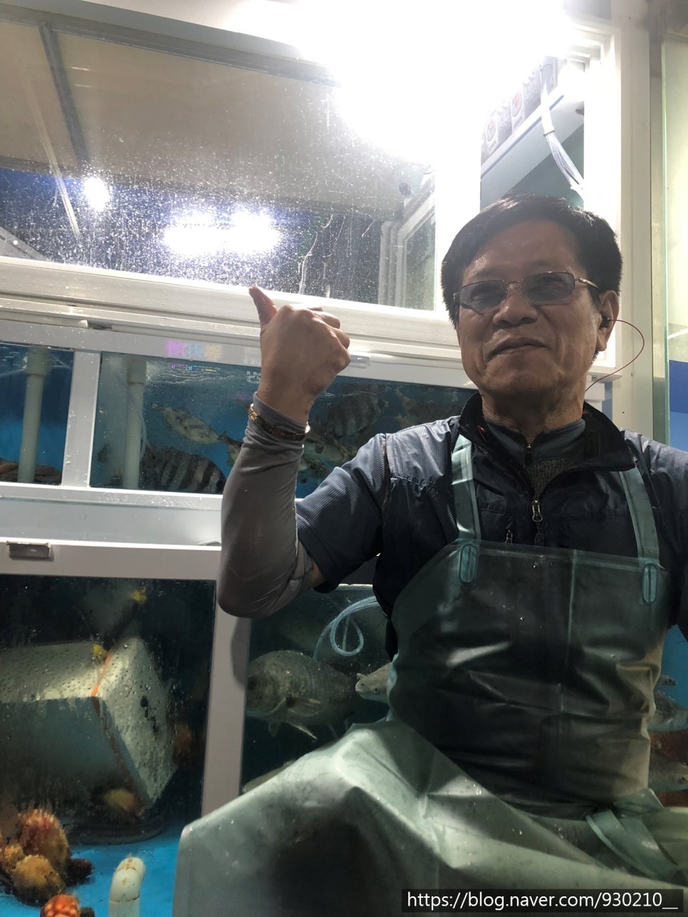 수정활어회센타 이미지