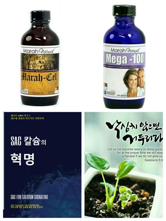 섹칼슘 이미지