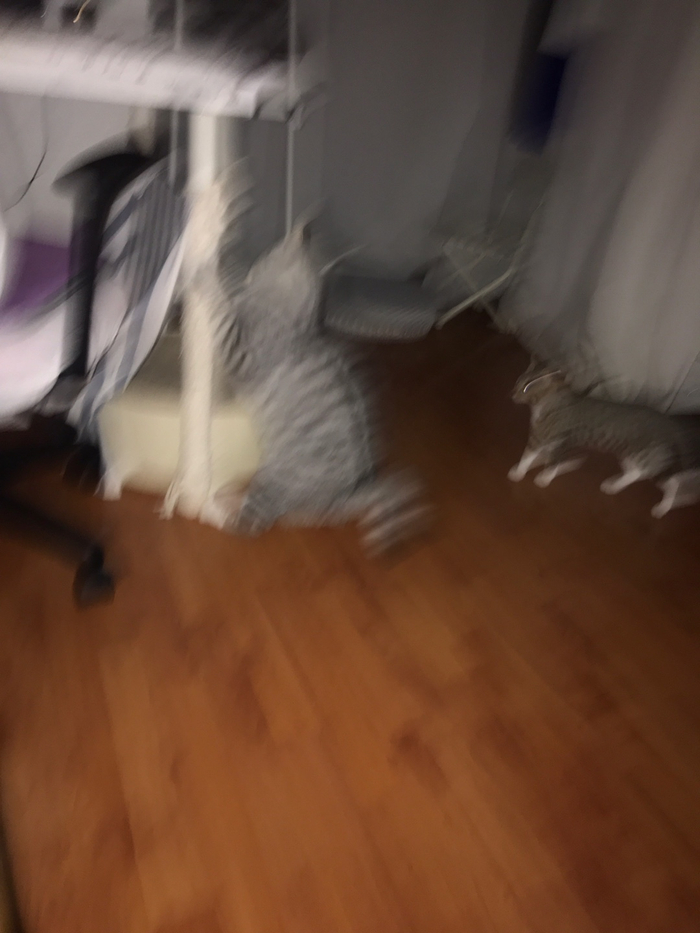별노래주점 이미지
