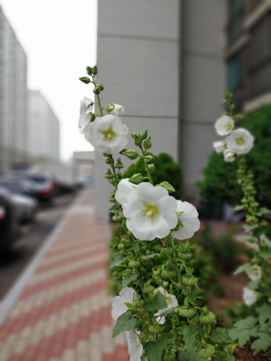 우림세탁소 이미지