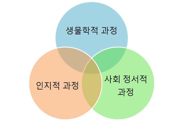 영유아 발달 발달의 개념과 원리 네이버 블로그