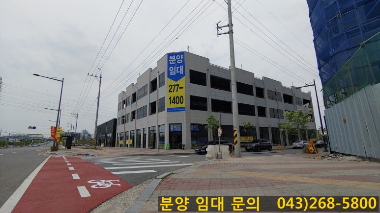 선우다농 이미지