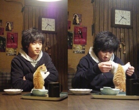정태성 이미지