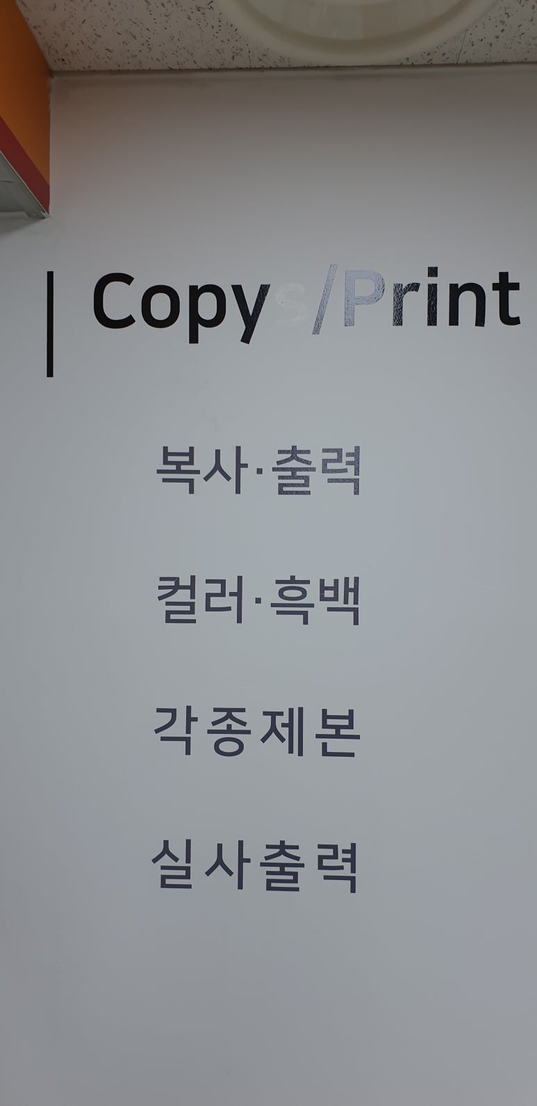 알파카피센터 이미지