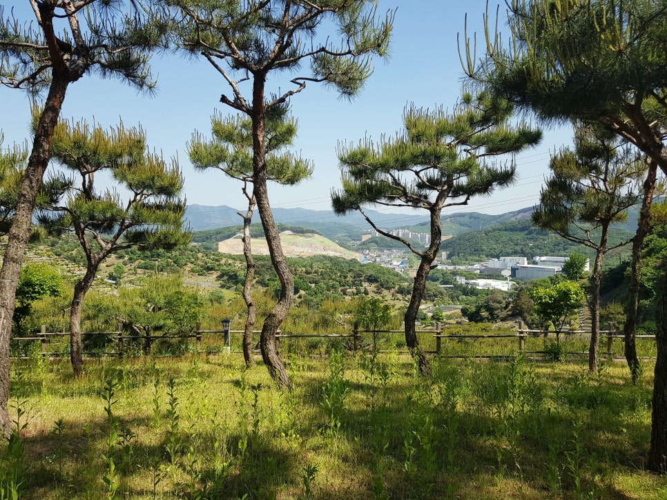 분당수목장 이미지