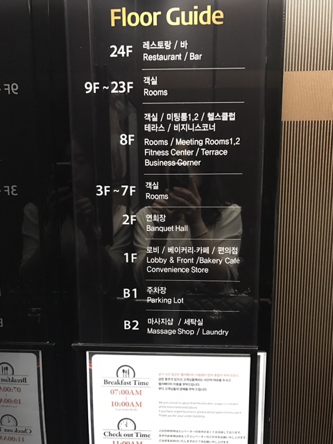보나베티 이미지