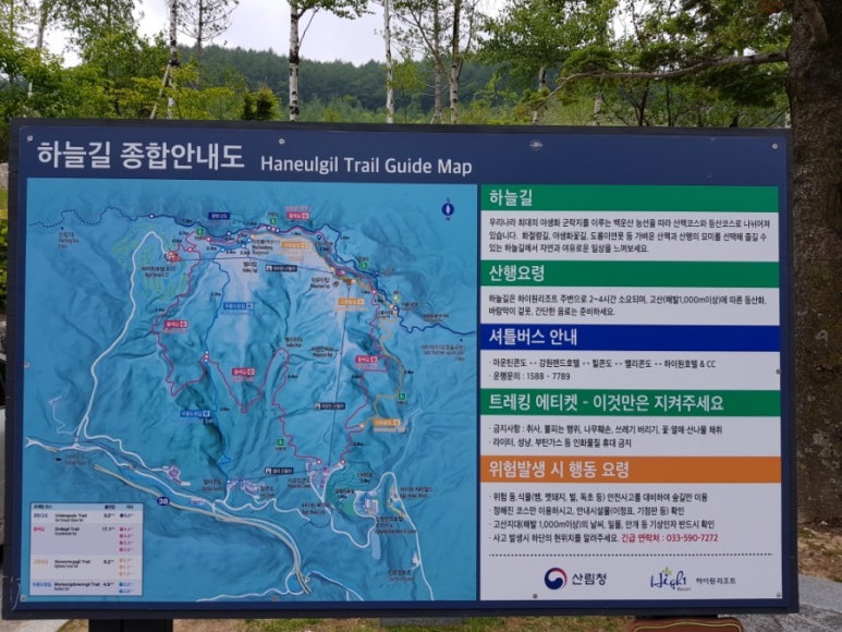 하늘 곤드레 이미지