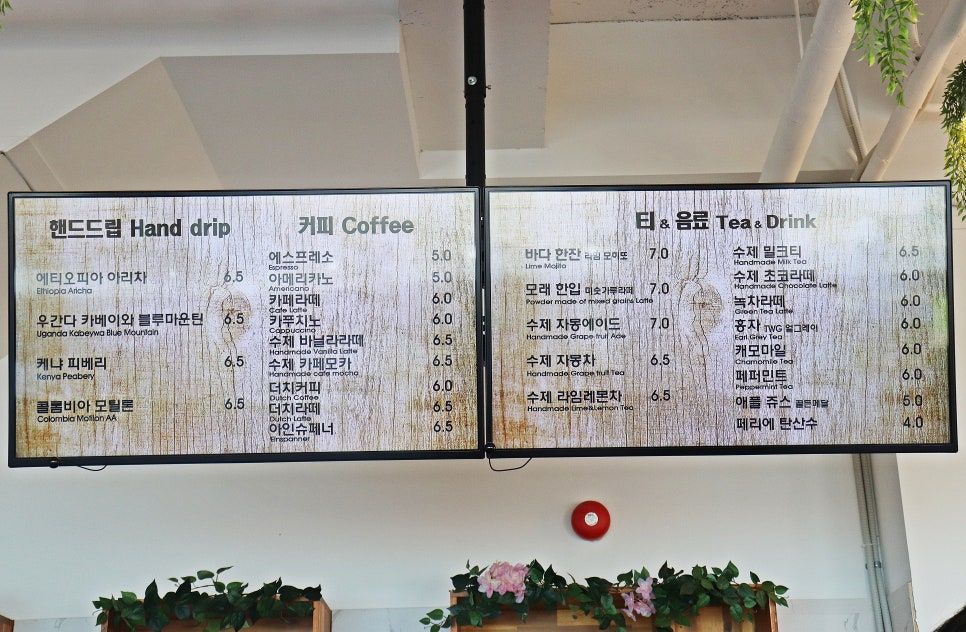 스테이솔 이미지