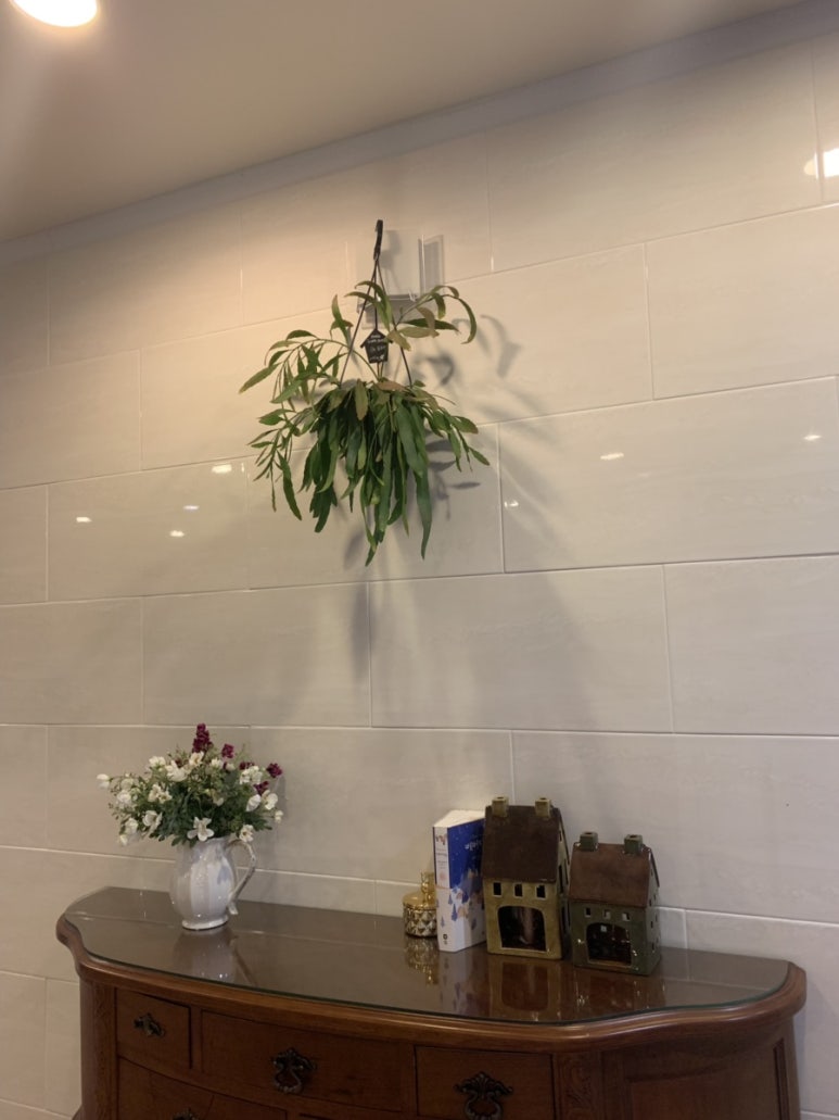 김지윤스튜디오 이미지