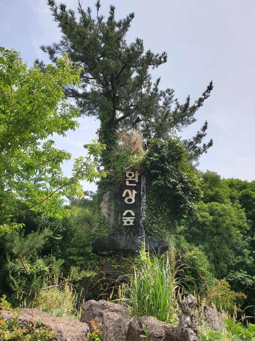 제주미즈리 이미지