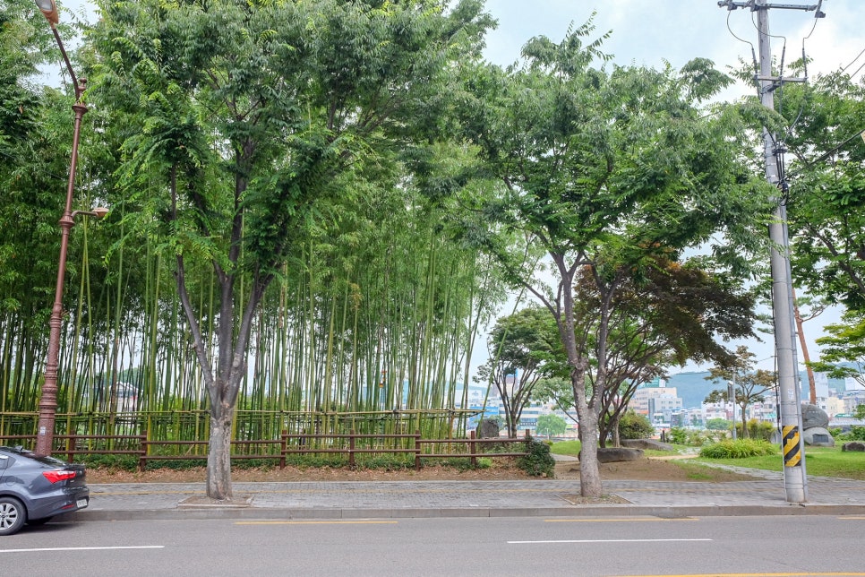한방재경장어 이미지