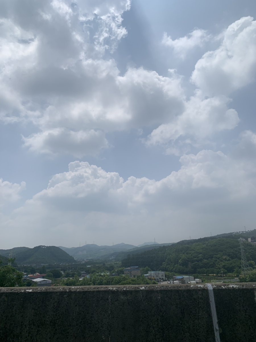 양지고메 이미지