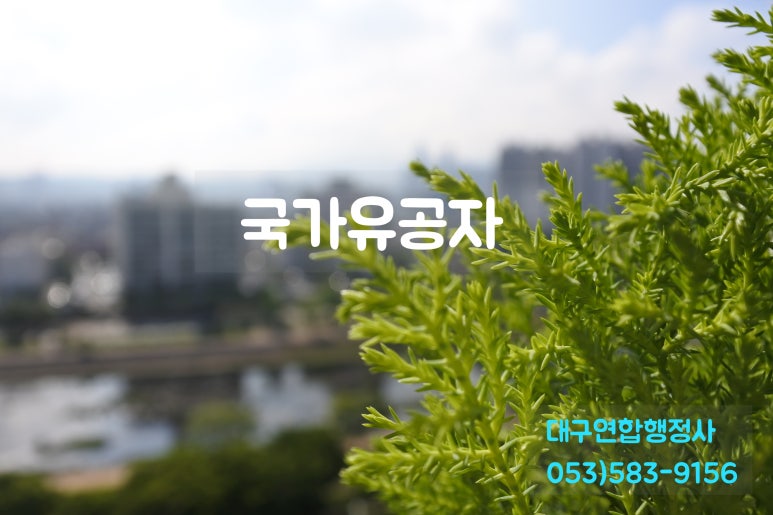 행정사김덕수 이미지