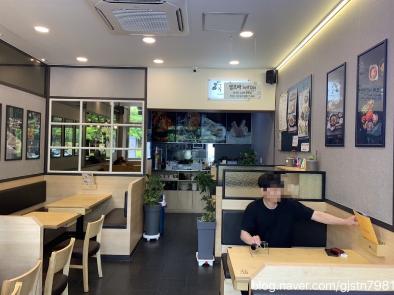 국수나무효자 이미지