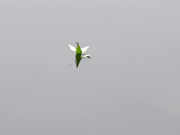 유명산밸리캠핑장 이미지