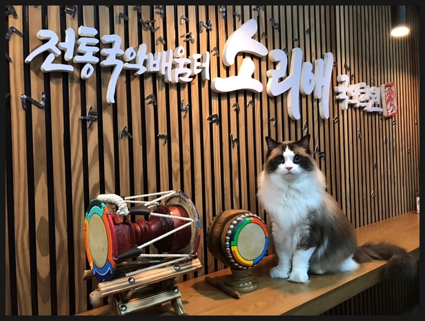 라온국악학원 이미지