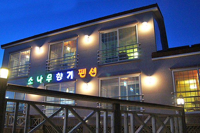 소나무향기펜션 이미지