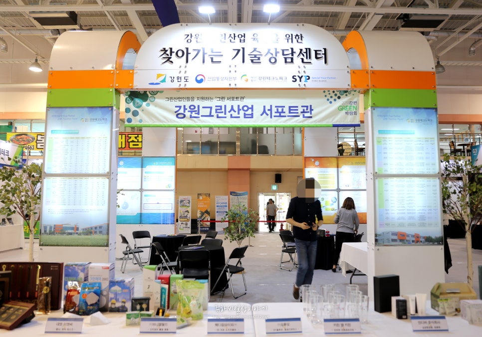 평창천년삼 이미지