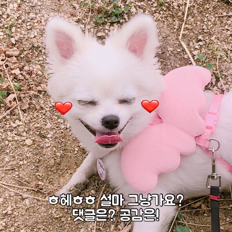 에스에스글로벌 이미지