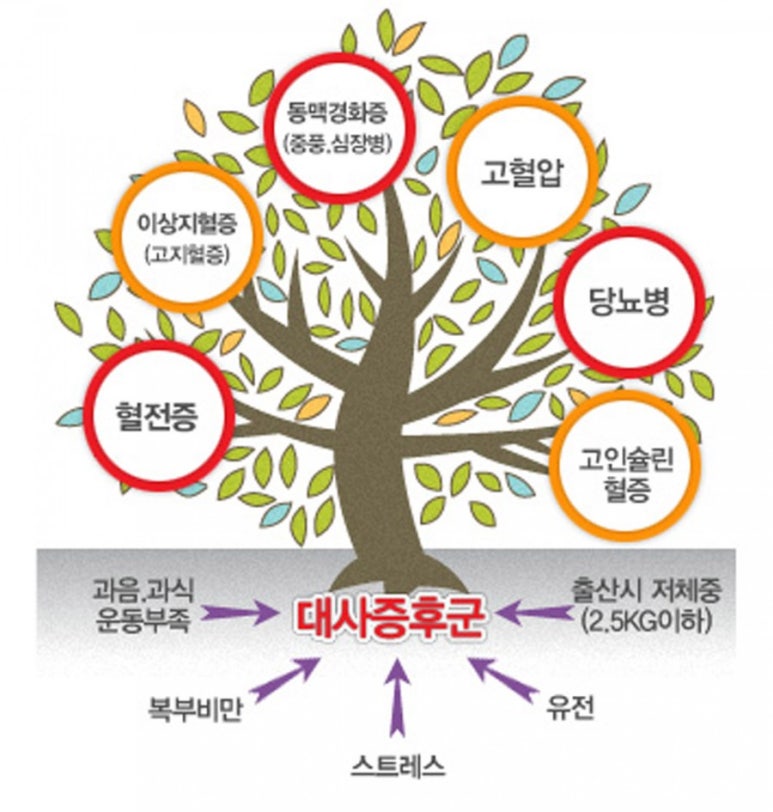 가로수짐 이미지