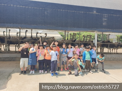 정일초등학교 이미지
