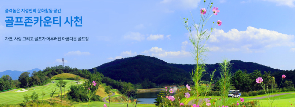 송호골프디자인주 이미지