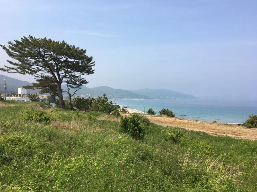 영덕건축사사무소 이미지