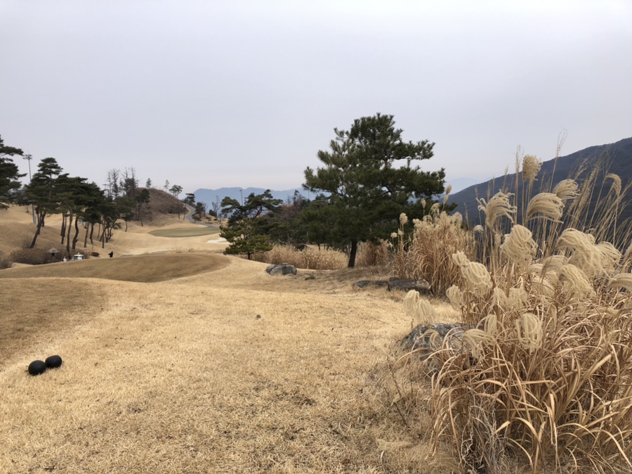 포레스트힐cc 이미지