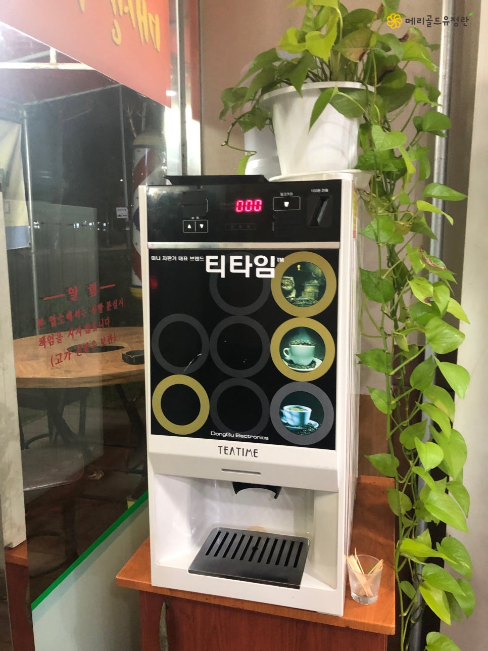 한라산똥돼지 이미지