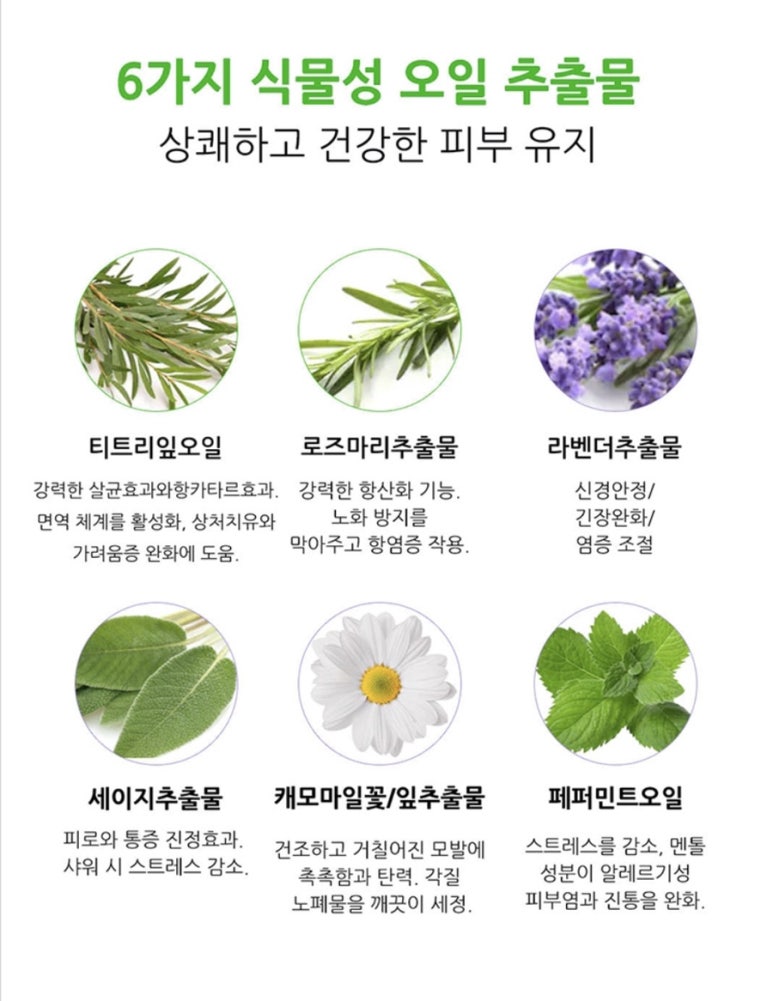 샴푸스토리 이미지