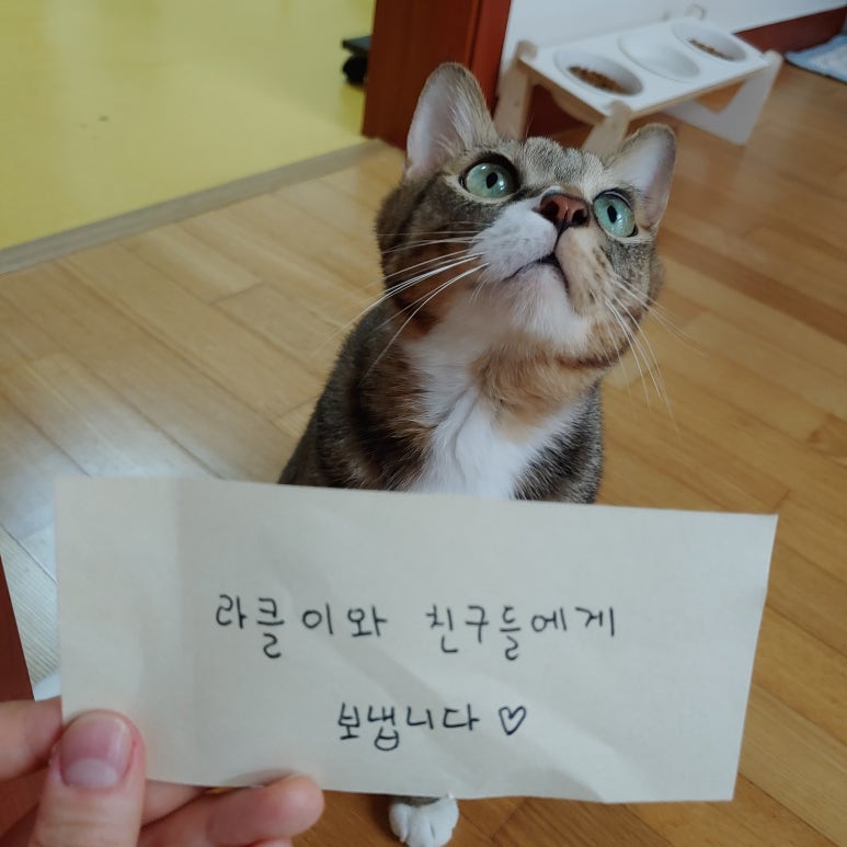 미라클쉼터 이미지