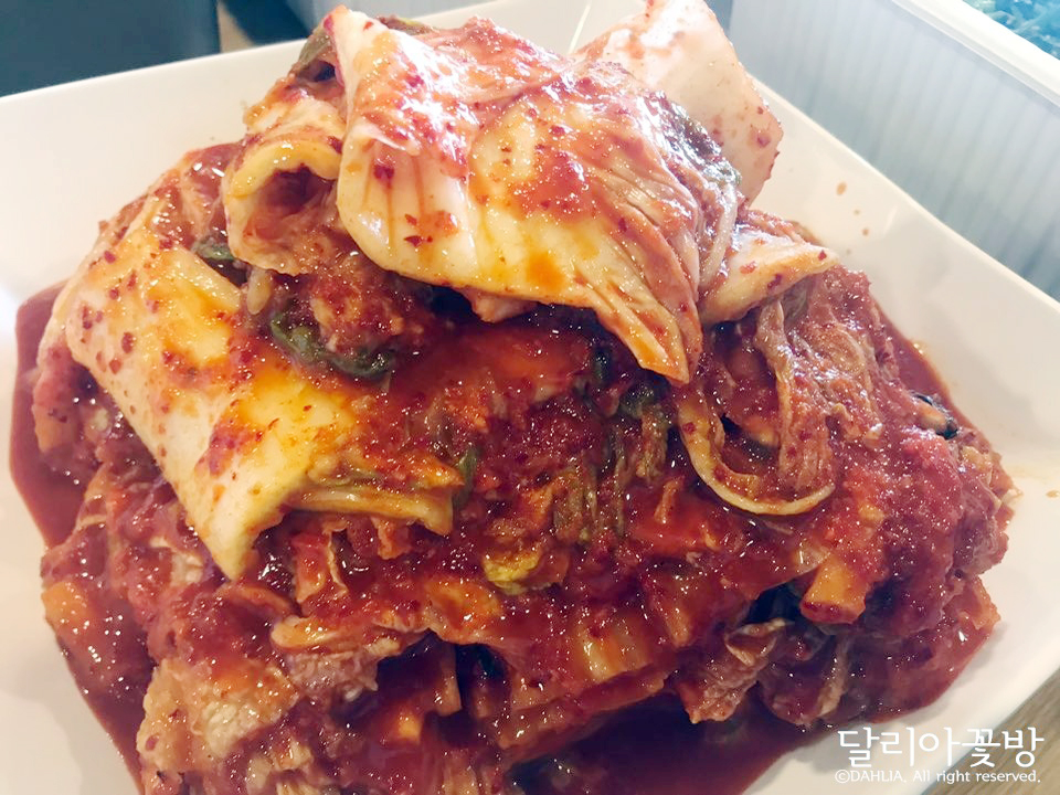 마두차돌백이 이미지