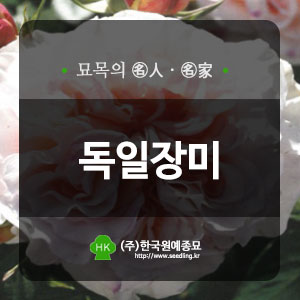 한국원예종묘 이미지