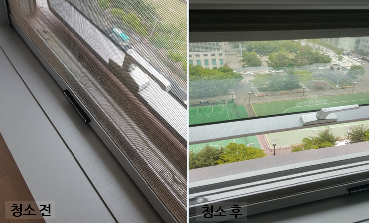 해바라기파출 이미지