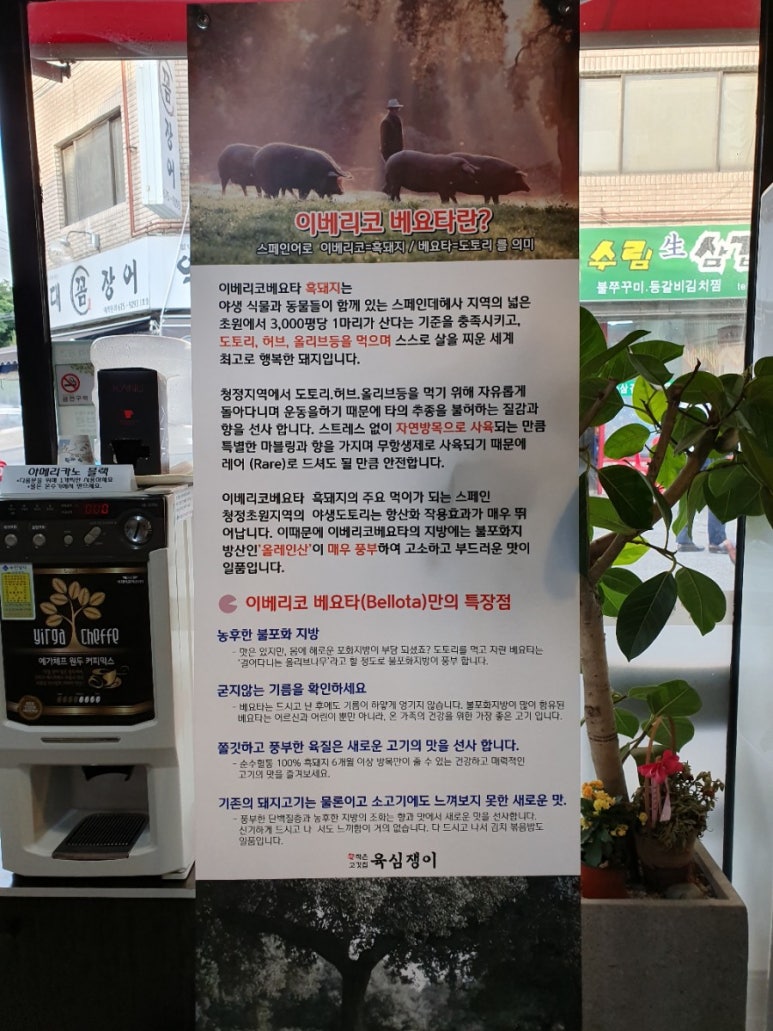 육심쟁이 이미지