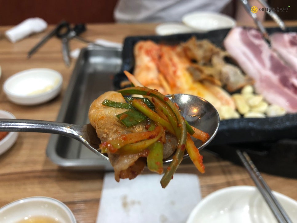 한라산똥돼지 이미지